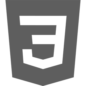 CSS
